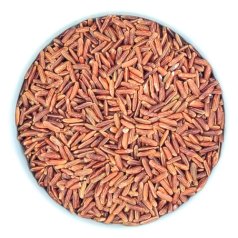 ris-krasnyj-dikij