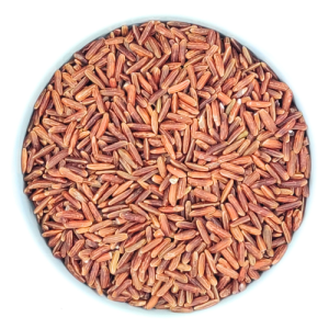 ris-krasnyj-dikij