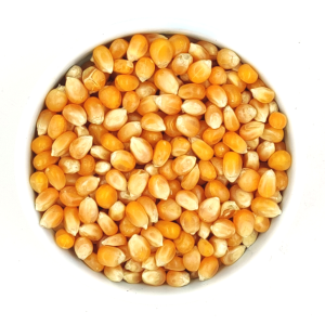 popkorn-kukuruza