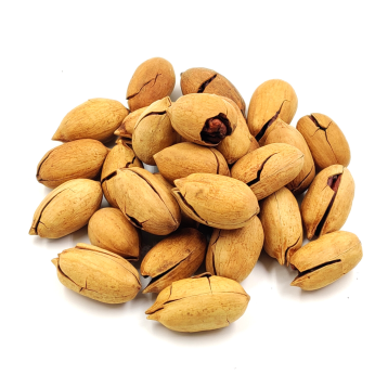 pekan_oreh_v_skorlupe